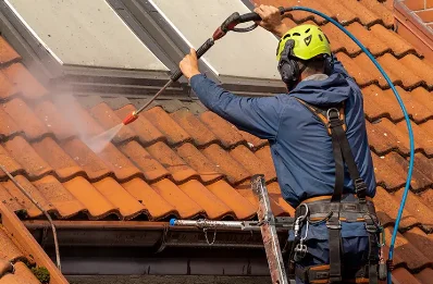 Démoussage et hydrofuge de toiture à Gras